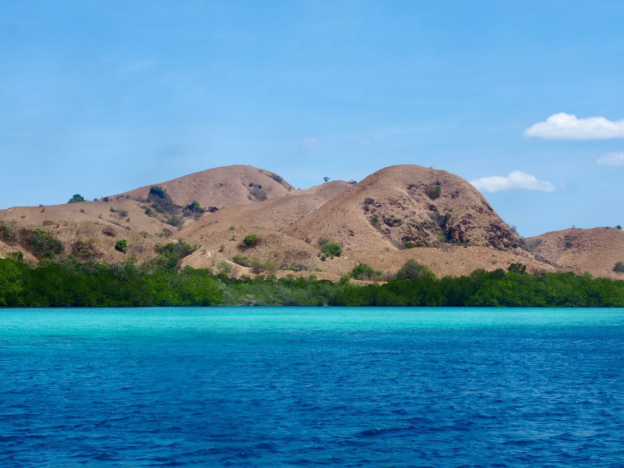 Isla de Komodo, un imprescindible en un viaje por Indonesia