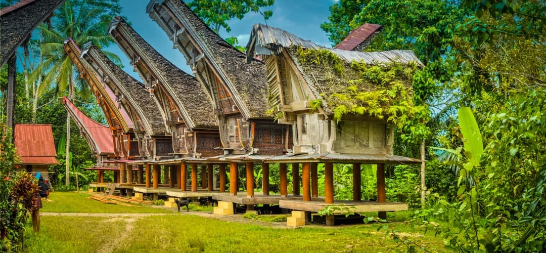 Tierra Toraja