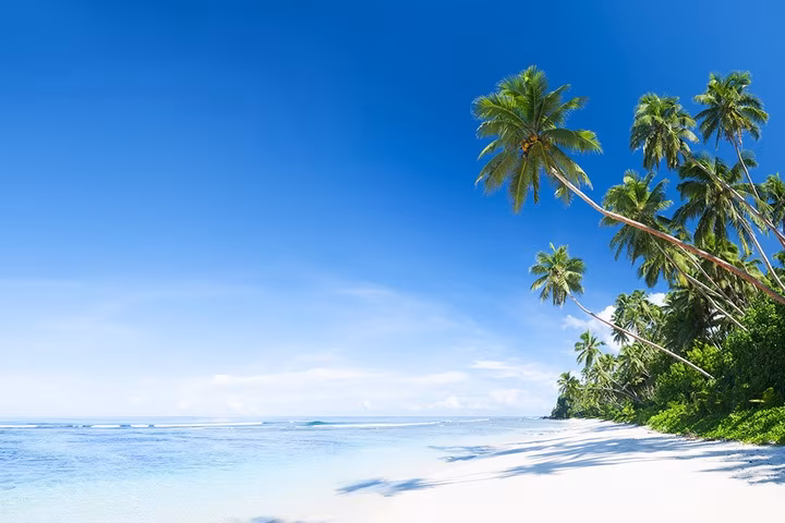 Sulawesi Centre : Extensión a las Islas Togian
